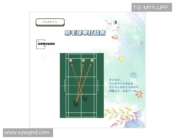 杭州羽毛球队配合表现的数据分析与战术研究探讨
