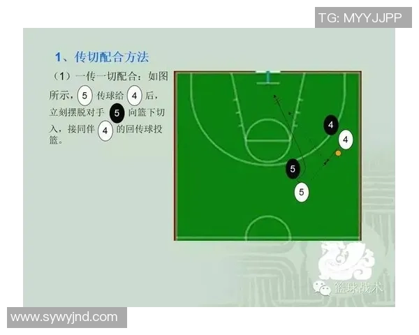南京篮球队区域防守战术解析与实战应用探讨