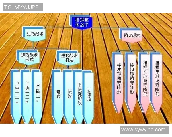 武汉排球队区域防守策略解析与深度剖析排球战术的奥秘